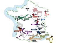 SZOMORÚAK A FRANCIA BOROSGAZDÁK SZOMORÚAK A FRANCIA BOROSGAZDÁK