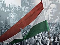 ELTÖRÖLT ÉVJÁRAT - 1956-OS TOKAJI ASZÚ ELTÖRÖLT ÉVJÁRAT - 1956-OS TOKAJI ASZÚ