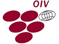 A SZŐLŐ ÉS BORVILÁG ALAKULÁSA 2009 A SZŐLŐ ÉS BORVILÁG ALAKULÁSA 2009