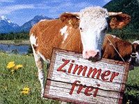 ZIMMER FERI HALDOKLIK