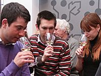 MUSLINCA A FURMINT KÖRÜL MUSLINCA A FURMINT KÖRÜL