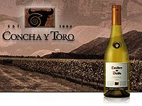 A CHILEI CONCHA Y TORO TOVÁBB FEJLESZT