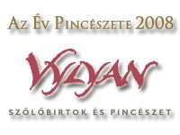 A VYLYAN LETT AZ ÉV PINCÉSZETE 2008-BAN A VYLYAN LETT AZ ÉV PINCÉSZETE 2008-BAN