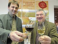 A PANNONHALMI HEGYKÖZSÉG EGYSÉGES ARCULATA A PANNONHALMI HEGYKÖZSÉG EGYSÉGES ARCULATA