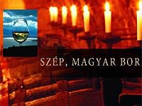 NYILVÁNOSSÁGRA HOZZÁK A VÉTKESEK NEVEIT NYILVÁNOSSÁGRA HOZZÁK A VÉTKESEK NEVEIT