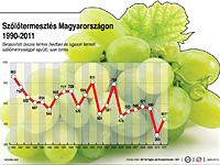 Remek szőlőtermés, sok bor várható Remek szőlőtermés, sok bor várható