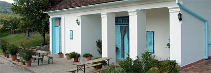 Blum Pince - Borozó Vendégház Blum Pince - Borozó Vendégház