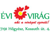 Évi Virág - Ajándék