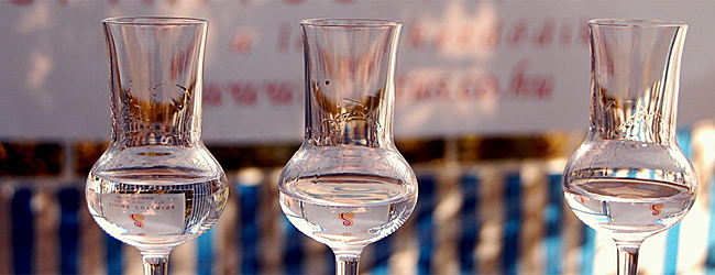 Spiritus Primus Pálinka Spiritus Primus Pálinka