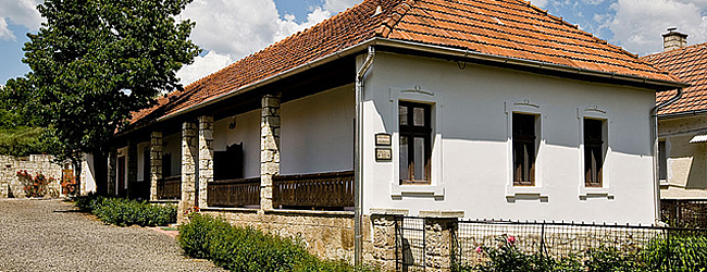 Tokaj Nobilis Szőlőbirtok Tokaj Nobilis Szőlőbirtok