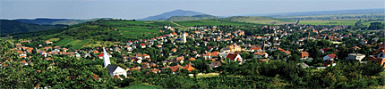 Szent Tamás Szőlőbirtok Pincészet