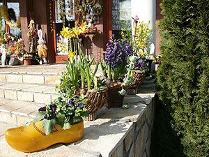 Tavaszi hangulat