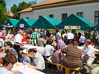 TÖLTÖTT KÁPOSZTA FESZTIVÁL TÖLTÖTT KÁPOSZTA FESZTIVÁL