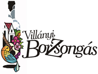 VII. VILLÁNYI BORZSONGÁS VII. VILLÁNYI BORZSONGÁS