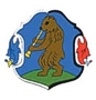 Megyaszó