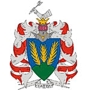 Vatta