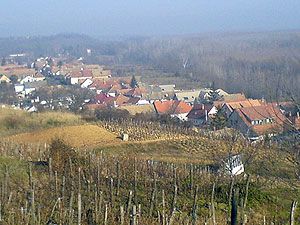 Bár kep-index.374.jpg